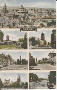 Oxford coloreado