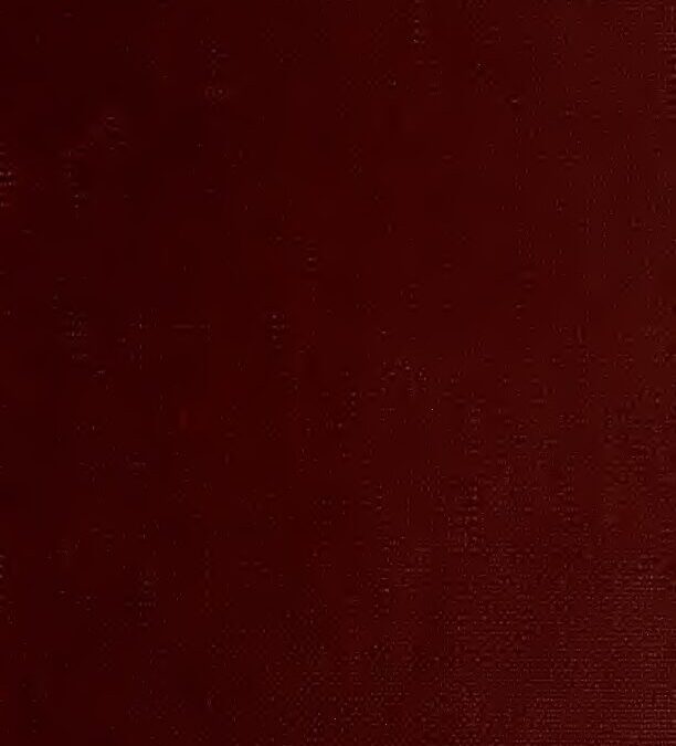 28 – A self verifying chronological history of ancient Egypt by O. P. Schmidt (1900)