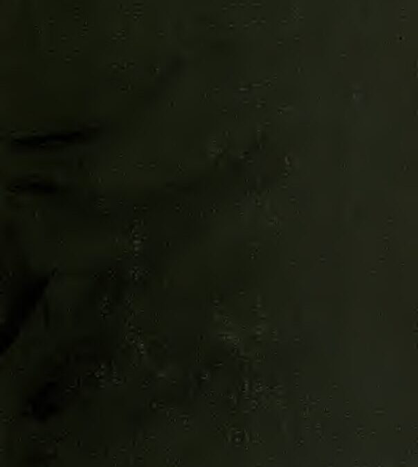 30 – A short history of the Egyptian people with chapters on their religion, daily life, etc. by E. A. Wallis Budge (1914)