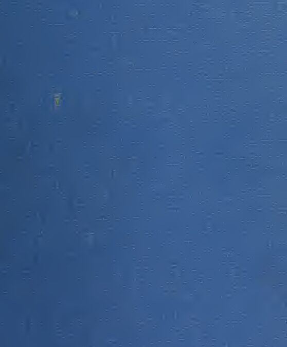 31 – Aegyptisches handw”rterbuch by A. Erman (1921)