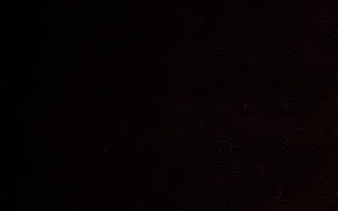 47 – Ancient Records of Egypt_ historical documents from the earliest times to the Persian conquest, Vol. 2, by Breasted, J.