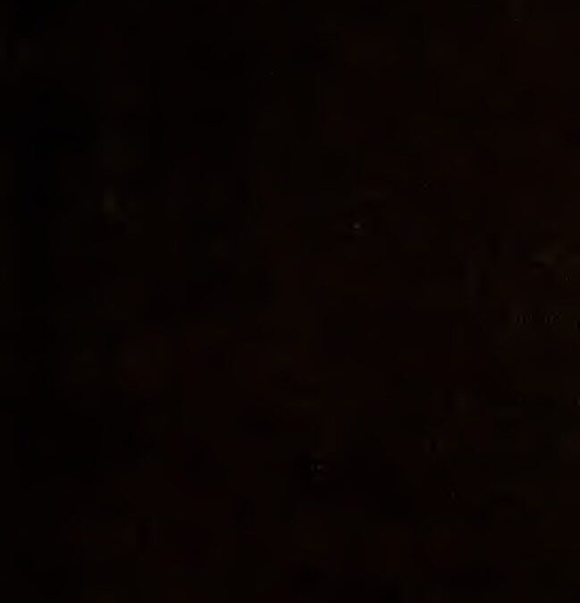 49 – Ancient Records of Egypt_ historical documents from the earliest times to the Persian conquest, Vol. 4, by Breasted, J.