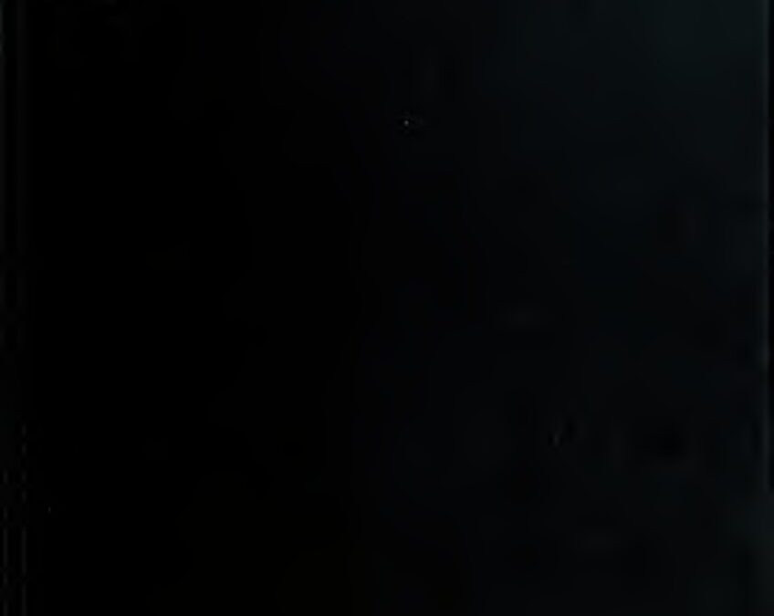 57 – Catalogue of Egyptian scarabs, etc., in the British museum, by Hall, Harry Reginald (1913)