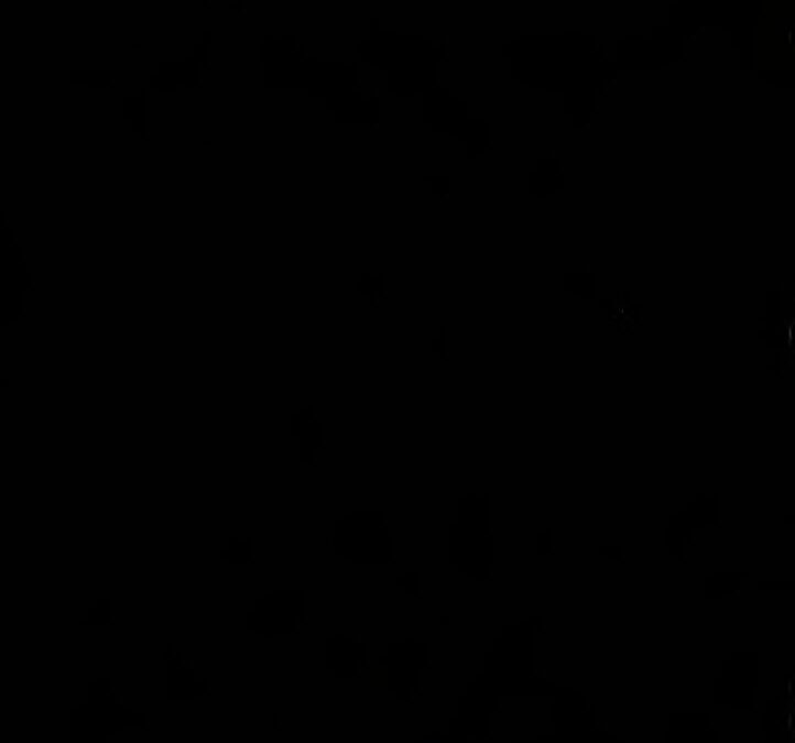 75 – Egyptian chronology_ an attempt to conciliate the ancient schemes and to educe a rational system by F. G. Fleay (1899)