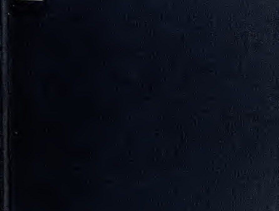 78 – Egyptian Hieroglyphic Dictionary Vol. 1, by E. A. Wallis Budge (1920)