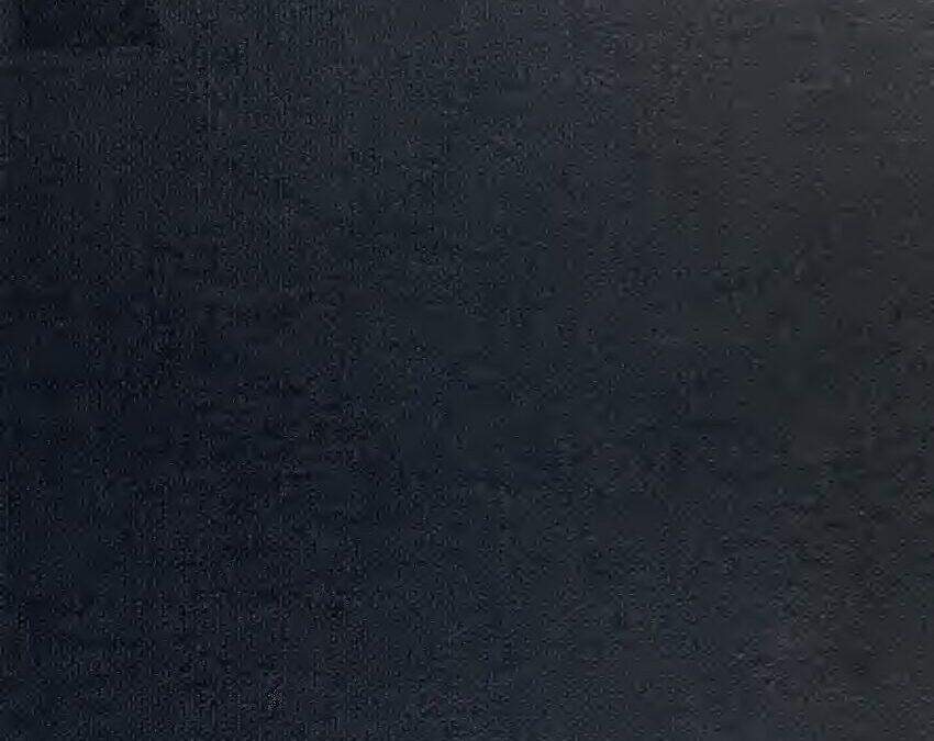 79 – Egyptian Hieroglyphic Dictionary Vol. 2, by E. A. Wallis Budge (1920)